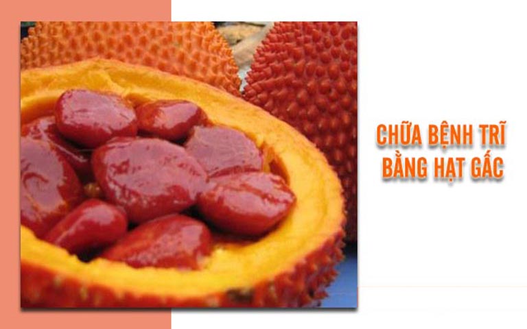 Mẹo chữa bệnh trĩ bằng hạt gấc hiệu quả bạn nên biết