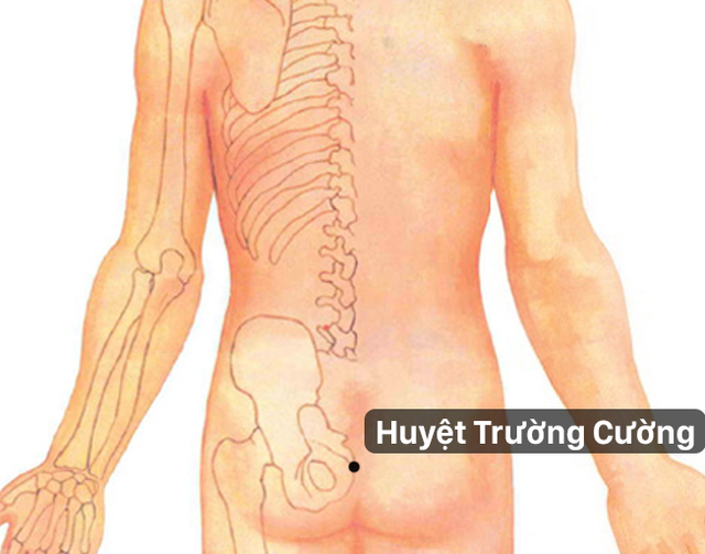 Mẹo bấm huyệt chữa bệnh trĩ hiệu quả bạn nên biết