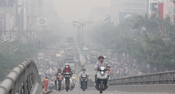 Nguyên nhân rối loạn nhịp tim bắt nguồn từ đâu? Yếu tố nguy cơ và phòng ngừa