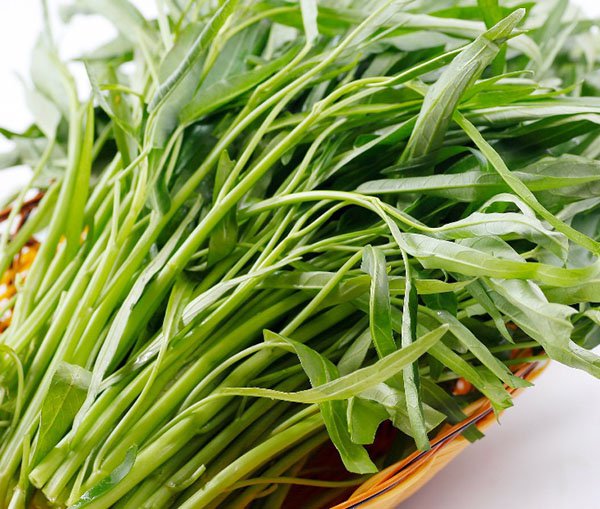 Dùng rau muống chữa được bệnh trĩ không? Tìm hiểu ngay để biết