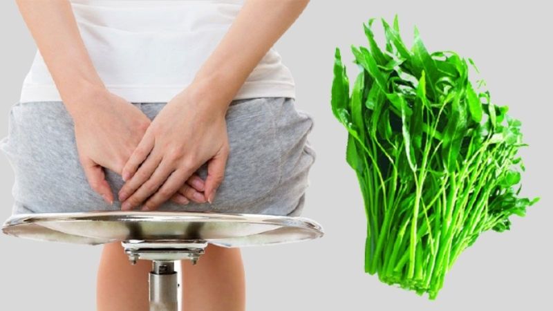 Dùng rau muống chữa được bệnh trĩ không? Tìm hiểu ngay để biết