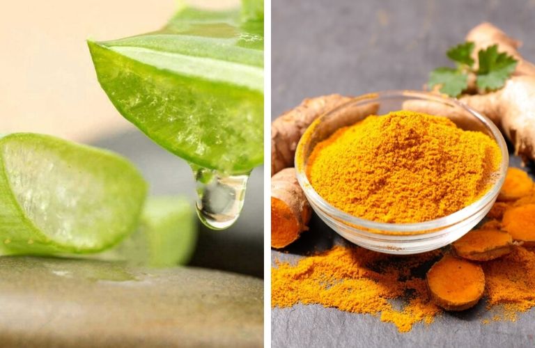 Cách chữa bệnh trĩ bằng nghệ cực hiệu quả