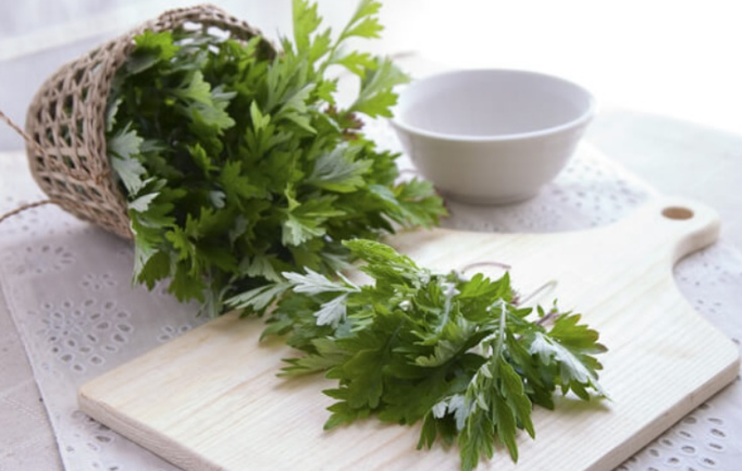 6 mẹo giúp chữa bệnh trĩ bằng ngải cứu hiệu quả