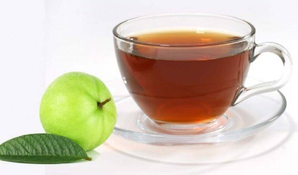 4 mẹo chữa bệnh trĩ bằng lá ổi hiệu quả bạn nên biết