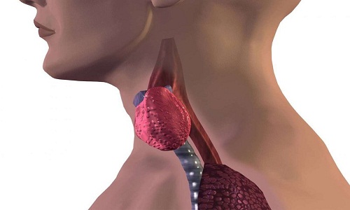 Nhận diện ngay các dấu hiệu ung thư tuyến giáp để kịp thời chữa trị