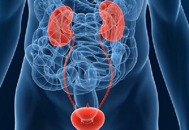 Đối tượng nào có nguy cơ mắc ung thư bàng quang nhất?