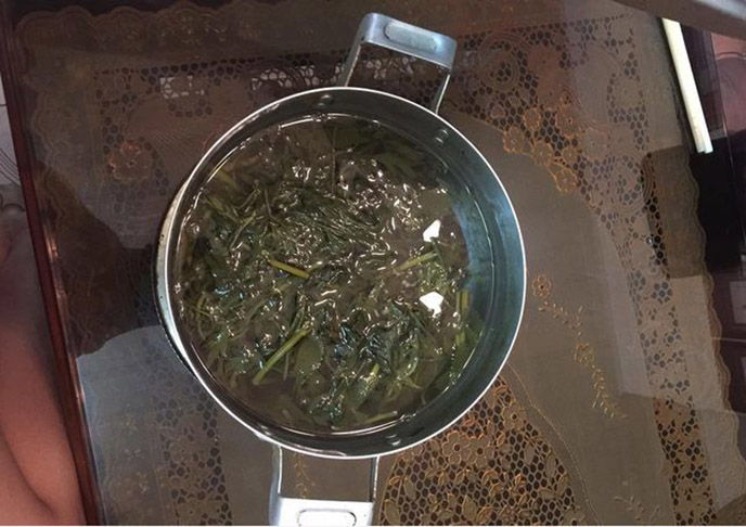 xông diếp cá chữa trĩ