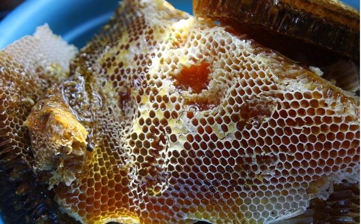 Mật ong có tính nóng hay mát