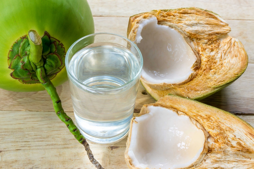 Kết hợp rau ôm với dừa chữa sỏi thận hiệu quả