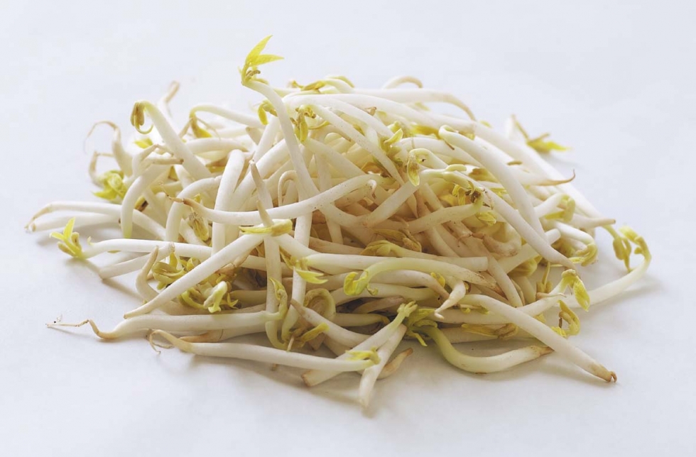Dùng giá đỗ để chữa bệnh đi tiểu nhiều