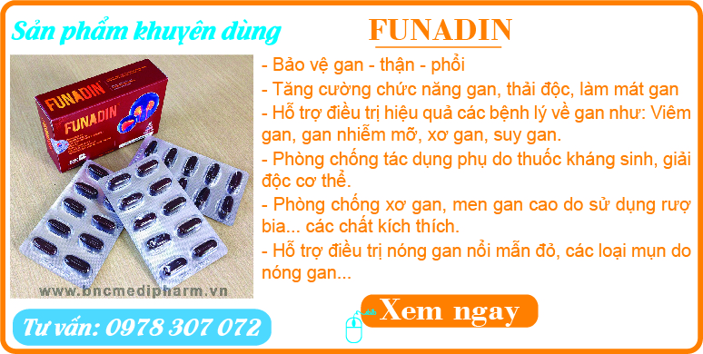 funadin1