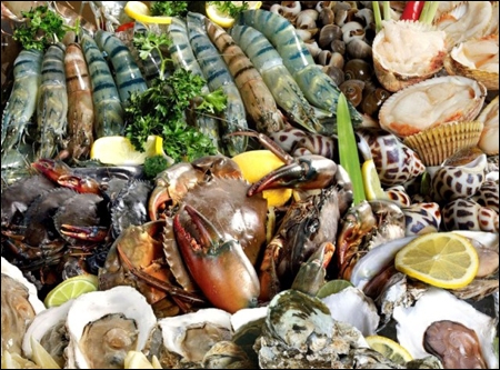 Người bị gan nhiễm mỡ có nên ăn hải sản không?