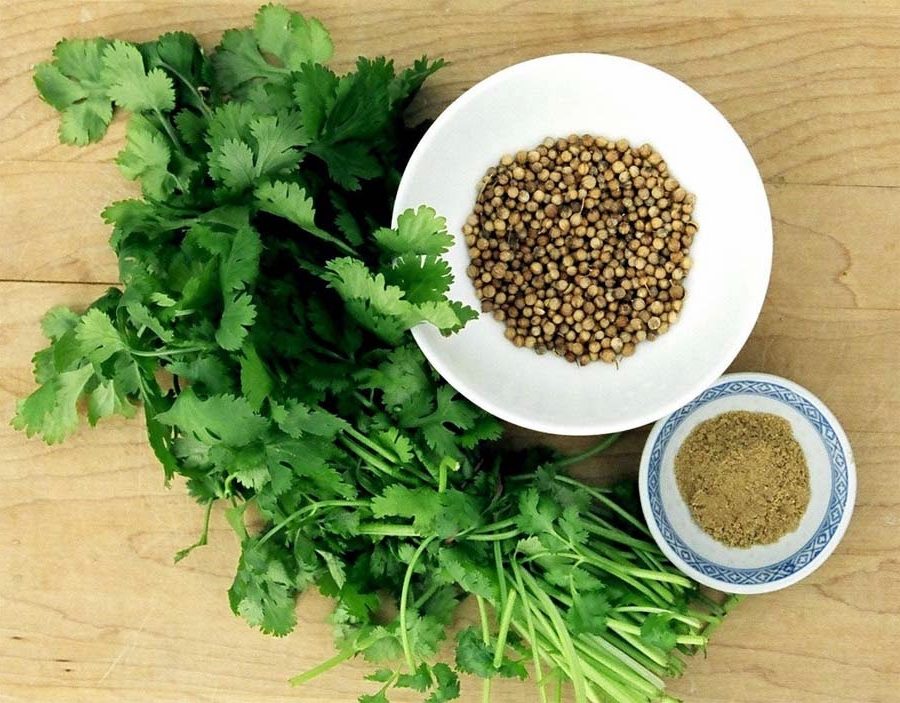 Mẹo chữa rối loạn kinh nguyệt bằng hạt rau mùi