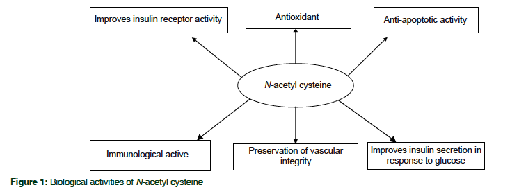 Vai trò của N-acetylcysteine (NAC)