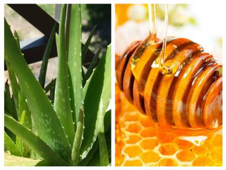 Trị nám và tàn nhang bằng nha đam và mật ong