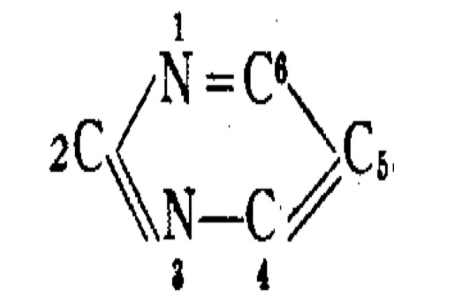 công thức albumin