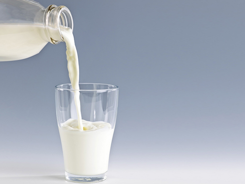 Uống nhiều sữa gây suy thận
