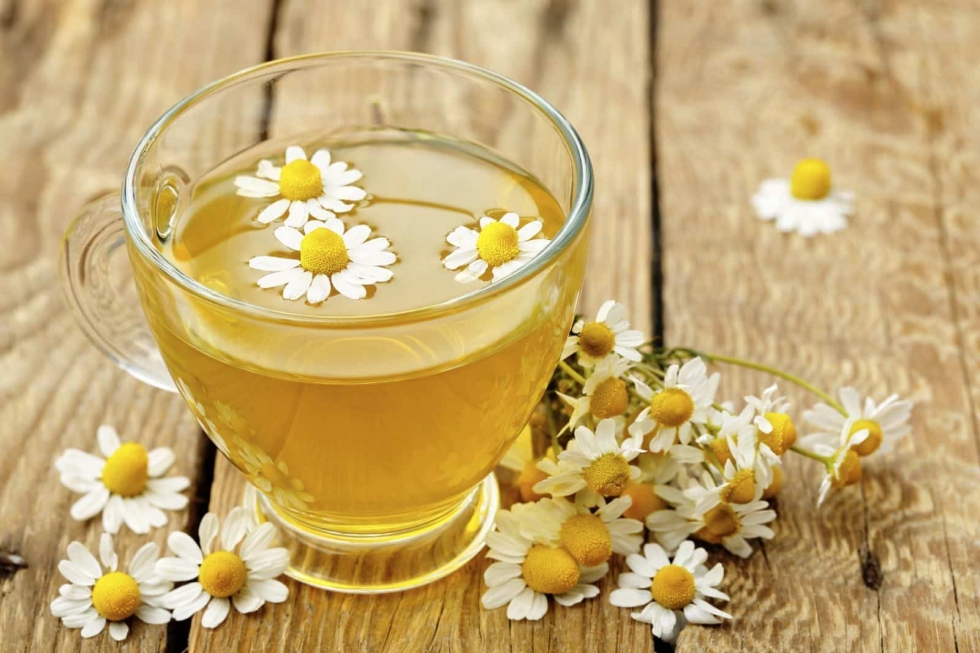 Sử dụng trà hoa cúc