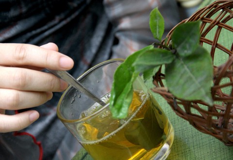 Uống trà xanh giúp giảm cao mỡ máu tốt