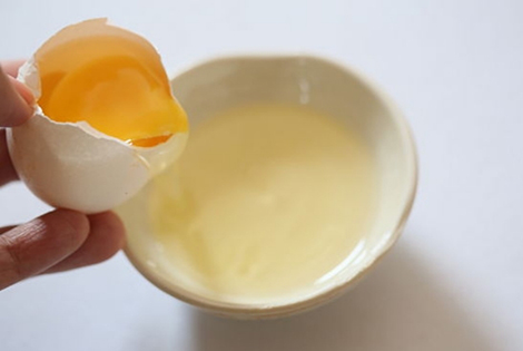 albumin từ trứng